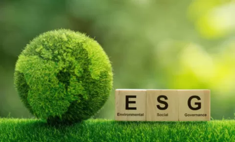 Elysian becomes signatory to UN Principles for Responsible Investment